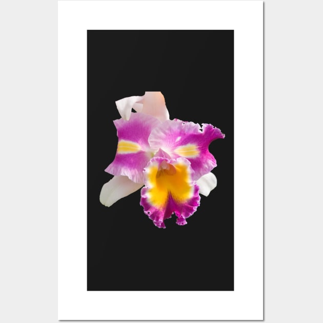 Orchids #5 Wall Art by photorolandi